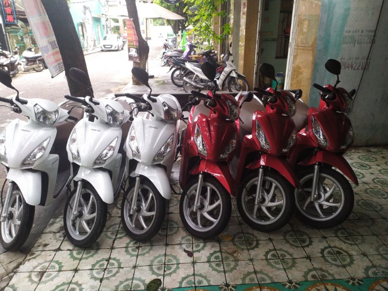 Cho thuê xe máy Quy Nhơn -  Motogo